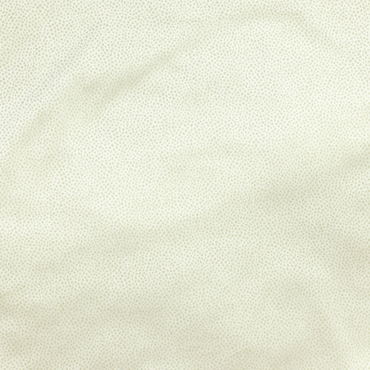 Gobi Sham