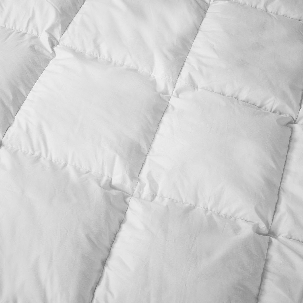 All Season Comforter