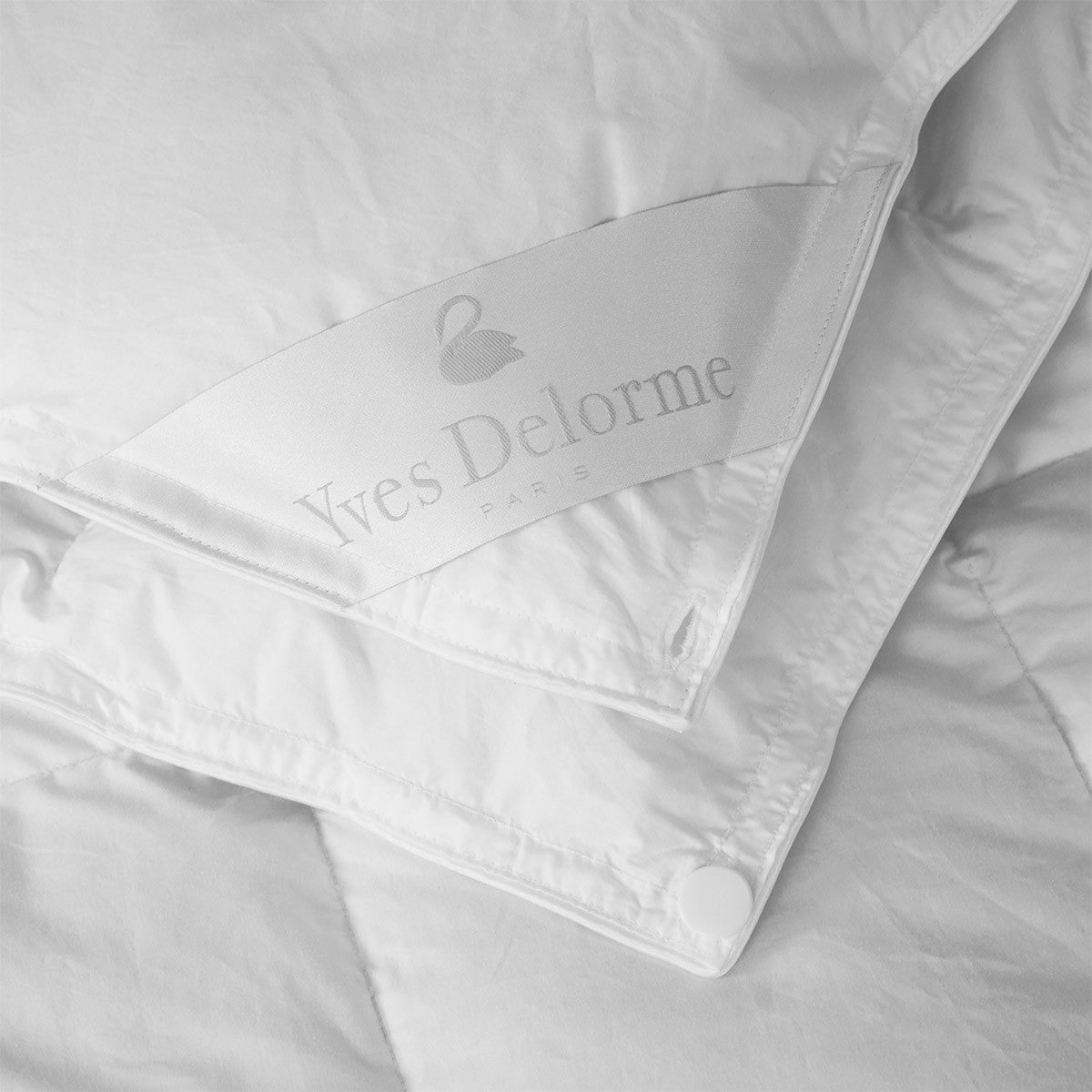 All Season Comforter