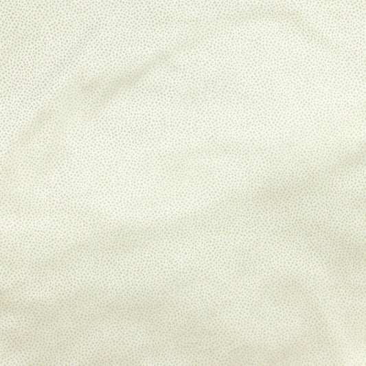 Gobi Sham