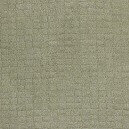 Piani Coverlet
